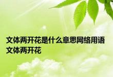 文体两开花是什么意思网络用语 文体两开花 