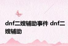 dnf二嫂辅助事件 dnf二嫂辅助 