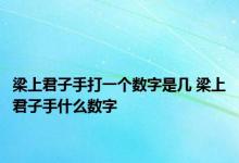 梁上君子手打一个数字是几 梁上君子手什么数字 