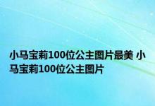 小马宝莉100位公主图片最美 小马宝莉100位公主图片 