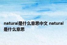 natural是什么意思中文 natural是什么意思 