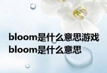 bloom是什么意思游戏 bloom是什么意思 