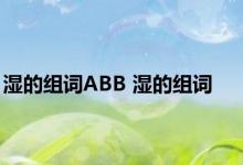 湿的组词ABB 湿的组词 