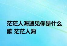 茫茫人海遇见你是什么歌 茫茫人海 