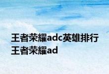 王者荣耀adc英雄排行 王者荣耀ad 