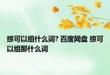 掠可以组什么词? 百度网盘 掠可以组那什么词 