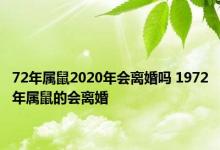 72年属鼠2020年会离婚吗 1972年属鼠的会离婚 