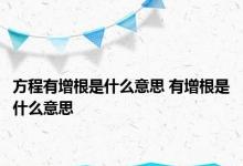 方程有增根是什么意思 有增根是什么意思 