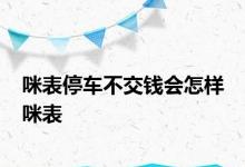 咪表停车不交钱会怎样 咪表 