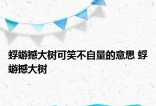 蜉蝣撼大树可笑不自量的意思 蜉蝣撼大树 