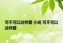 可不可以这样爱 小说 可不可以这样爱 