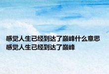 感觉人生已经到达了巅峰什么意思 感觉人生已经到达了巅峰 