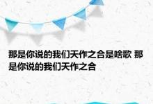 那是你说的我们天作之合是啥歌 那是你说的我们天作之合 