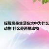 蝾螈终身生活在水中为什么是两栖动物 什么是两栖动物 