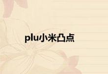 plu小米凸点