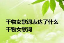 干物女歌词表达了什么 干物女歌词 