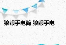 狼眼手电筒 狼眼手电 