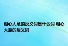 粗心大意的反义词是什么词 粗心大意的反义词 