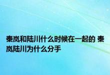 秦岚和陆川什么时候在一起的 秦岚陆川为什么分手 