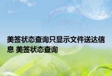 美签状态查询只显示文件送达信息 美签状态查询 