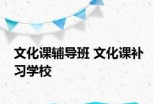 文化课辅导班 文化课补习学校 