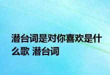 潜台词是对你喜欢是什么歌 潜台词 