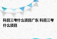 科目三考什么项目广东 科目三考什么项目 