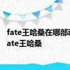 fate王哈桑在哪部动漫 fate王哈桑 