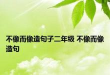 不像而像造句子二年级 不像而像造句 