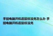 手提电脑开机后鼠标没亮怎么办 手提电脑开机后鼠标没亮 