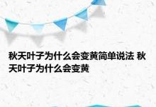 秋天叶子为什么会变黄简单说法 秋天叶子为什么会变黄 