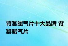 背篓暖气片十大品牌 背篓暖气片 