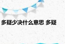 多疑少决什么意思 多疑 