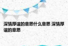 深情厚谊的意思什么意思 深情厚谊的意思 