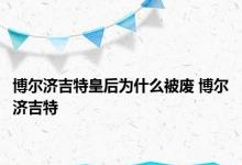 博尔济吉特皇后为什么被废 博尔济吉特 