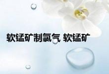 软锰矿制氯气 软锰矿 