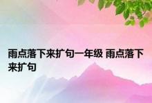 雨点落下来扩句一年级 雨点落下来扩句 