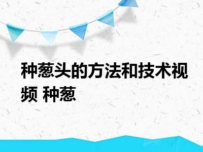 种葱头的方法和技术视频 种葱 