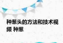 种葱头的方法和技术视频 种葱 