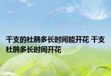 干支的杜鹃多长时间能开花 干支杜鹃多长时间开花 