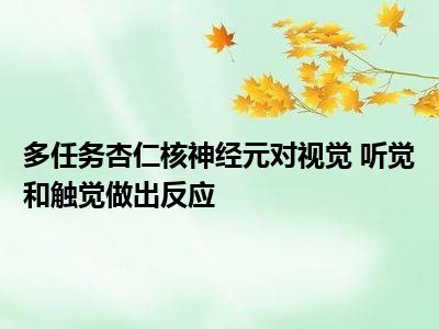 多任务杏仁核神经元对视觉 听觉和触觉做出反应